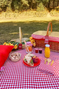desayuno canasta picnic_OK