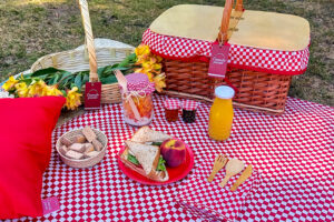 desayuno sorpresa canasta picnic_ok