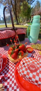 experiencia día de campo picnic