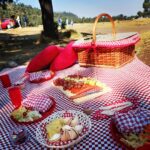 experiencia picnic en familia