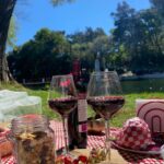 experiencia picnic queso pan vino