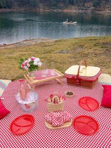 galería canasta picnic_ok