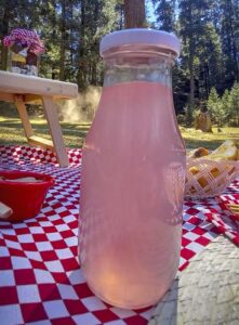 paquete dia de campo pink lemonade120