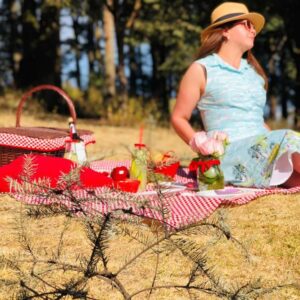 picnic mujeres canasta picnic