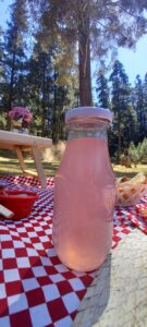 pink lemonade canasta picnic