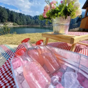 pink lemonade canastas picnic